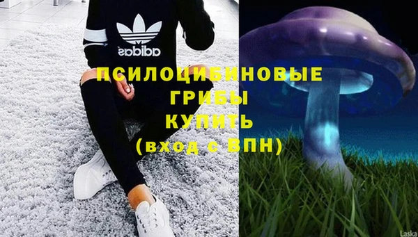 амф Абдулино