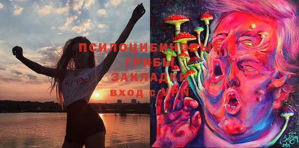 амф Абдулино