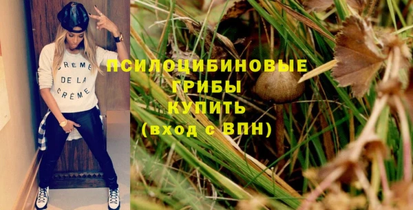 амф Абдулино