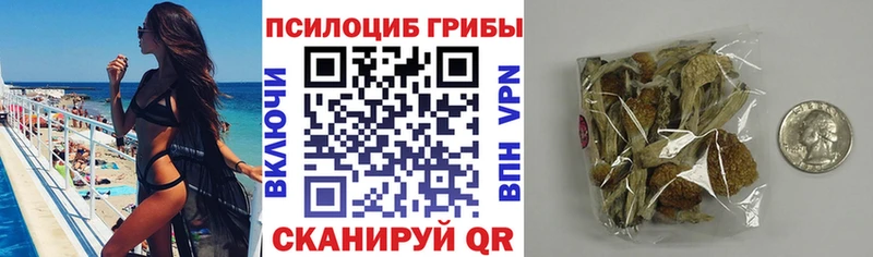 блэк спрут ONION  как найти закладки  Псков  Галлюциногенные грибы GOLDEN TEACHER 