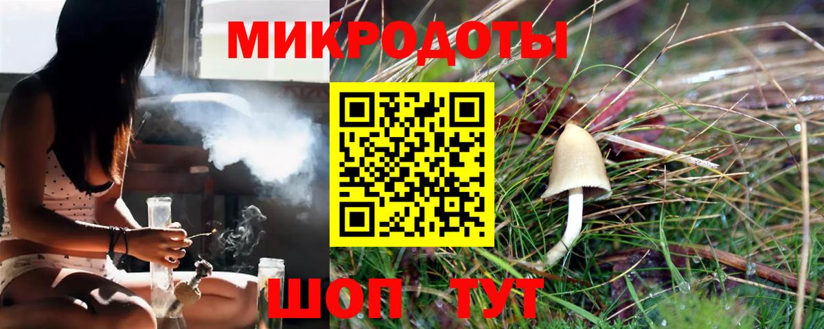 Псков  Галлюциногенные грибы Psilocybe  Вход с VPN 