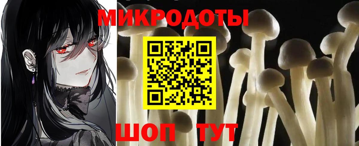 Псилоцибиновые грибы мицелий Псков