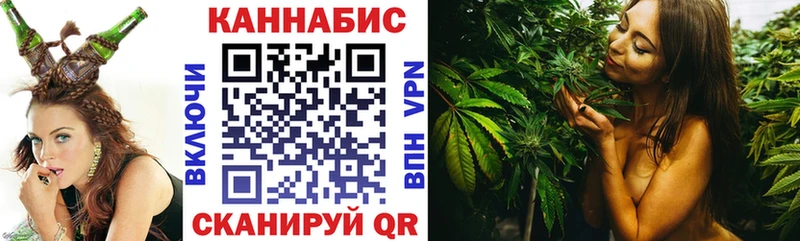 Бошки Шишки план  Псков 